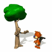 albero no.gif
